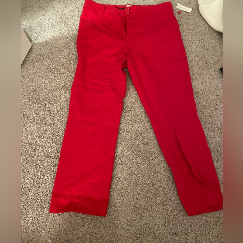 Anthropologie Work Pants
